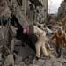 16 Martyred in Air Strike on Mosque ~ Toll Reaches 463, including 85 children