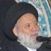 Sayyed Fadlallah: Hizbullah-Egypt crisis purely political, Discovering 