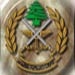 Lebanese Army: The Francop crew denies 