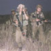 DIARY OF RESISTANCE OPERATIONS -- NOVEMBER 1993 