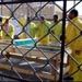 Afghanistan Slams Torture in US-Run Bagram Prison 