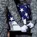 US Awards to its Soldiers: Priceless Lives, Injuries...Dead Bodies to Trash or Cut
