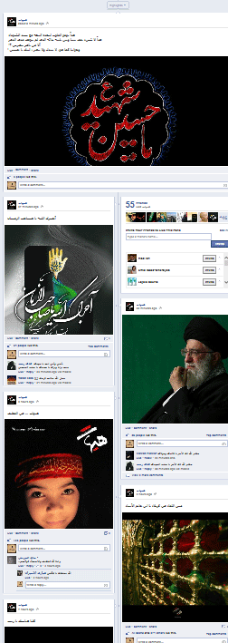 hayhat campaign facebook page