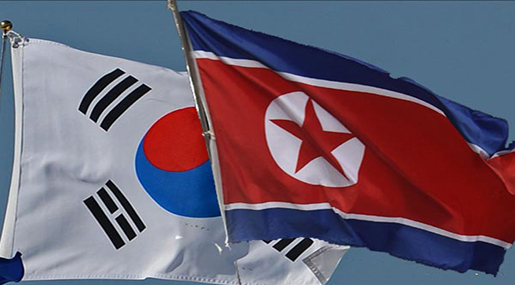N Korea and South Flags