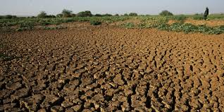 State of Disaster" Declared over Zimbabwe Drought