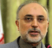 Salehi Says Iran Supports President Assad Initiative