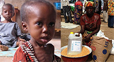 WFP: More Than One Million At Risk of Hunger in CAR 