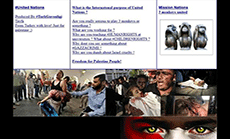 Turkish Group Hacks ESCWA Website, Posts Anti-’Israeli’ Messages