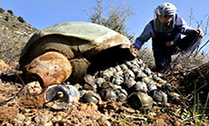 HRW: ’IS’ Using Cluster Bombs