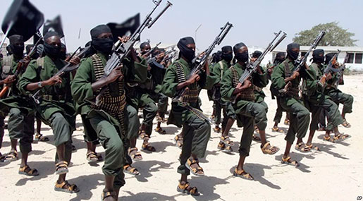 Somalia Seeks Easing of Arms Embargo in Effort to Defeat al-Shabab