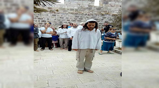 160 #Zionist Settlers Storm the Holy #AlAqsa Mosque