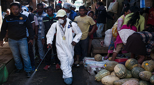 Madagascar Plague Outbreak: WHO Steps In As Epidemic Kills 124