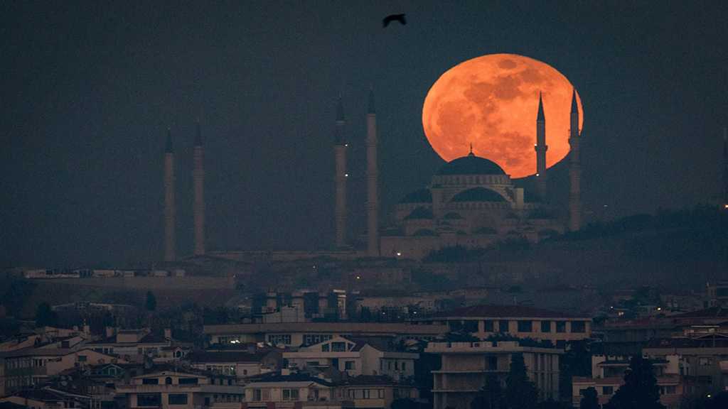 How to Watch the Super Blood Wolf Moon
