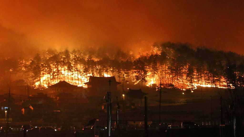 S Korea Wildfires: Firefighters Contain Most of Fire, Hundreds Evacuated