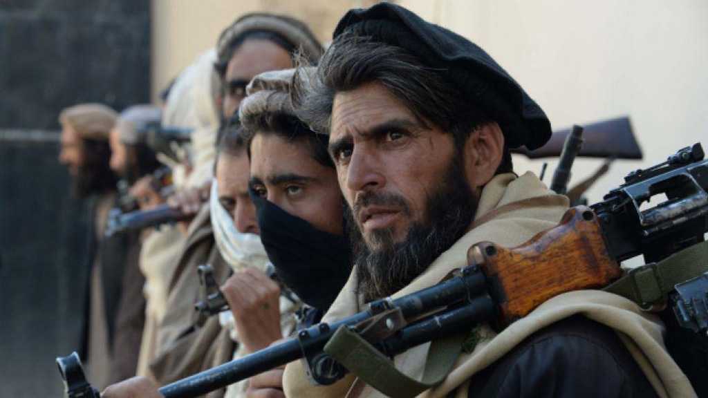Taliban Announce ‘Spring Offensive’ amid Afghan Peace Push