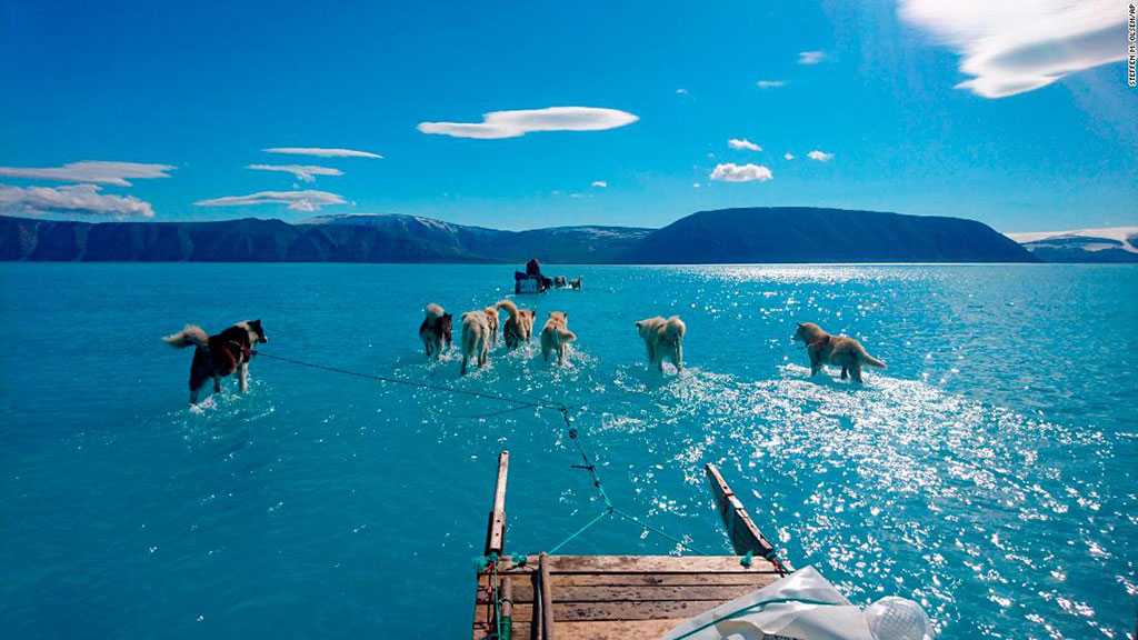 Photo of Sled Dogs Walking Through Water Shows Reality of Greenland’s Melting Ice Sheet