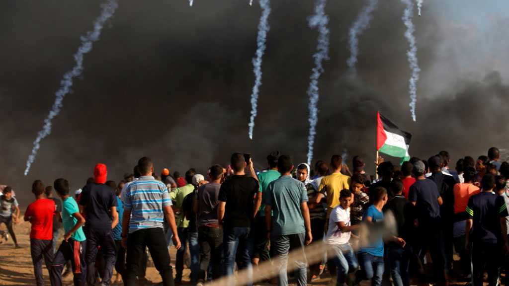 IOF Injure 67 Palestinians at Gaza Separation Fence