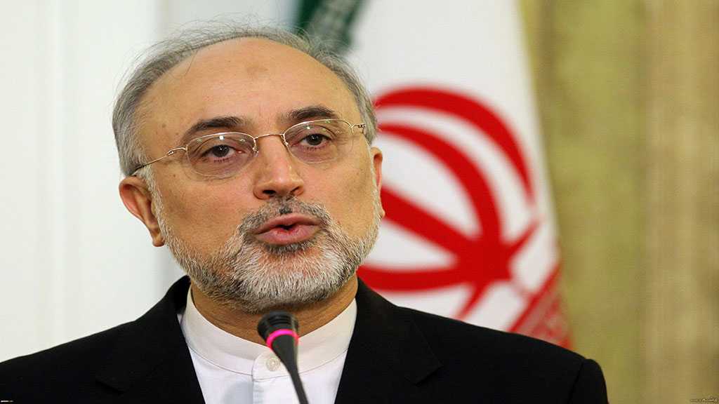 Iran’s Grounds Prepared For Producing 60 Modern Centrifuges - AEOI Chief