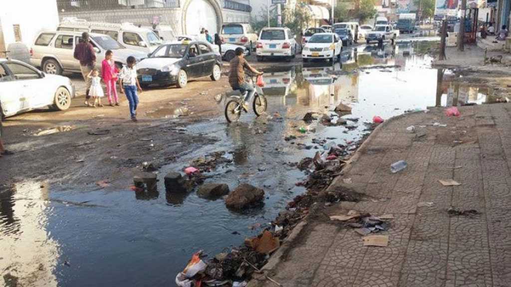 Yemen’s Health Minister Declares Internal State of Emergency to Combat Vectors of Dengue, Malaria