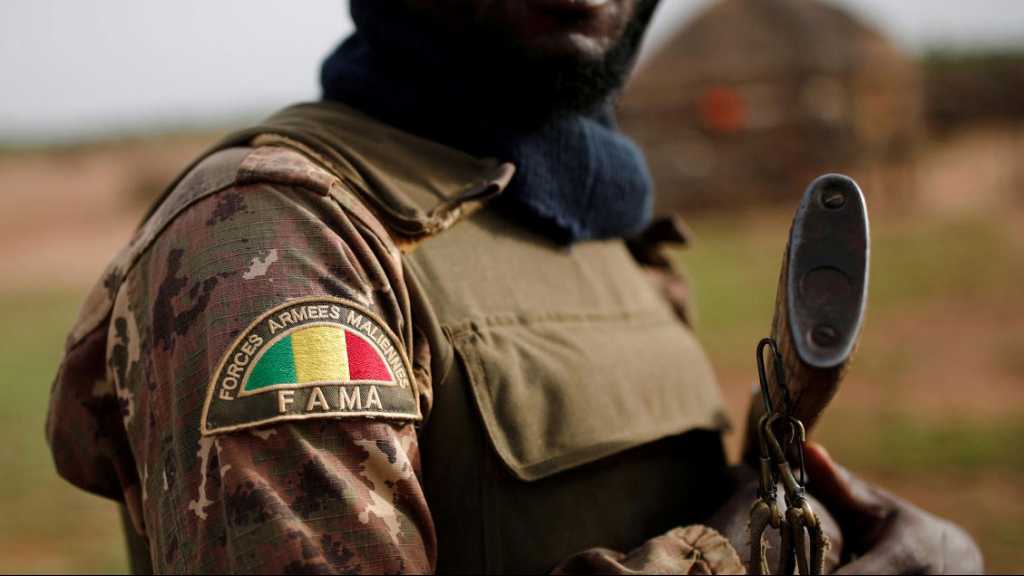 Daesh Claims Responsibility for Killing 30 Malian Soldiers