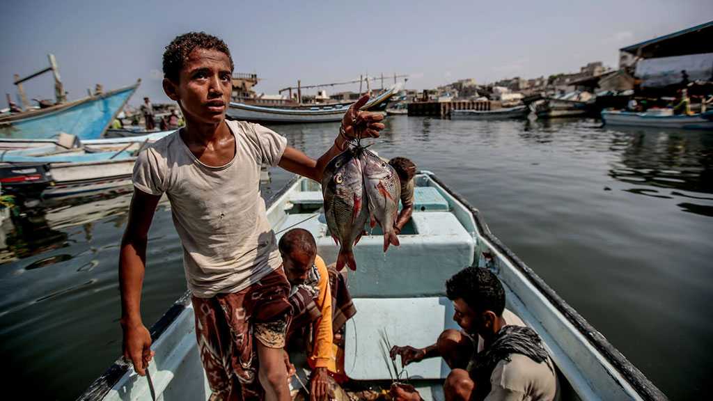 Saudi Forces, Mercenaries Kidnap 17 Yemeni Fishermen Off Hanish Islands