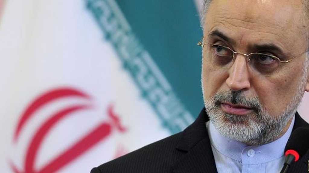 Iran Not To Succumb To Pressure despite Being Open to Talks - AEOI