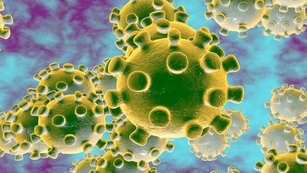 New Coronavirus Has Infected over 80,000 People Worldwide