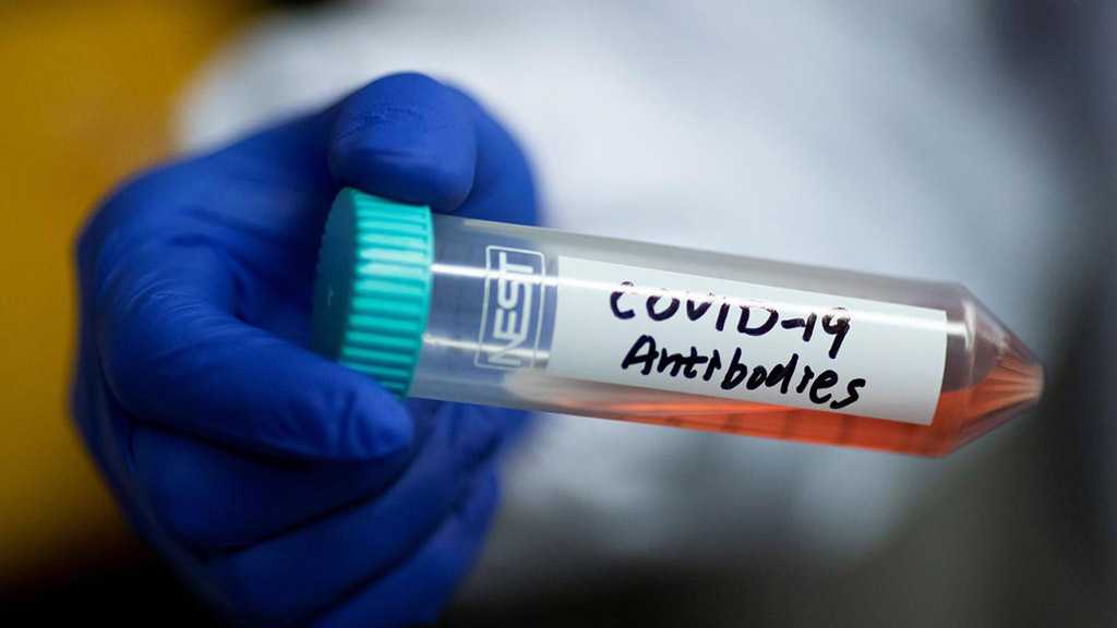 German Scientists Created, Sampled Artificial COVID-19 Antibodies