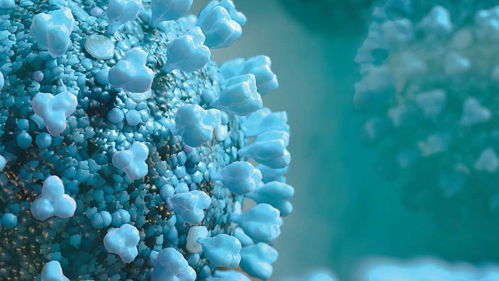 New Virus Clusters Emerge As WHO Warns Of Unending Fight