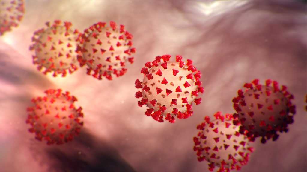 Australia’s Largest State Reports First Local Coronavirus Case Within Weeks