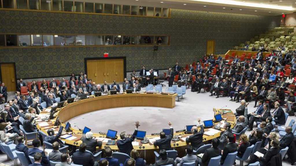 UN Security Council Passes Resolution on Immediate Ceasefire in World’s Conflict Zones