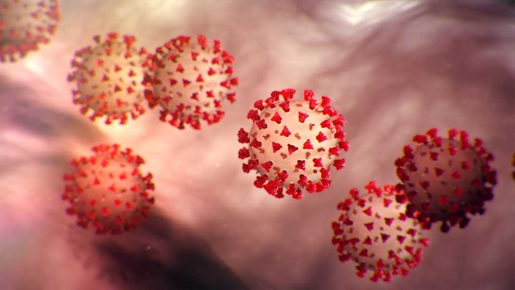 World’s Coronavirus Cases Near 12m, Death Toll at 546k