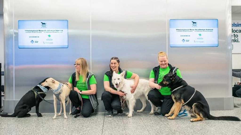Helsinki Airport Hires Corona-Sniffing Dogs to Stop COVID-19 Spread