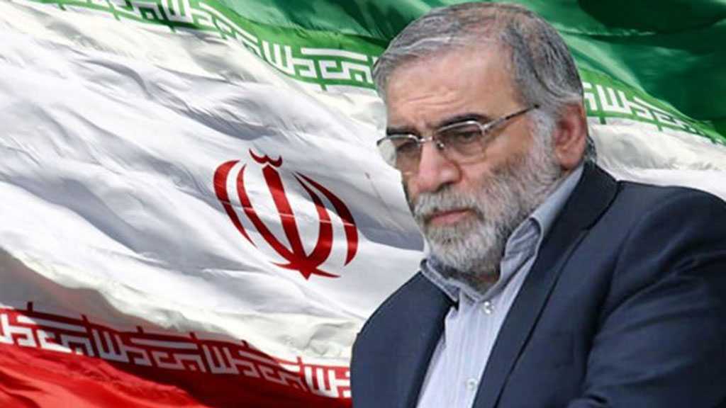 Iranian Nuclear Scientist Assassinated in Tehran - Defense Ministry