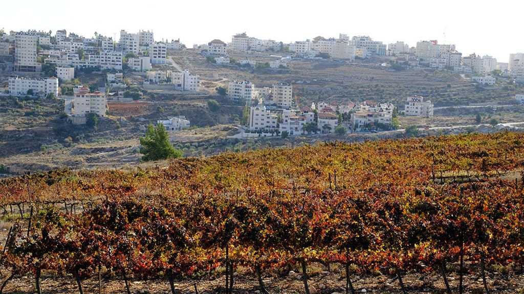 Exports to US from Settlements Will Be Labeled ’Product of ’Israel’’
