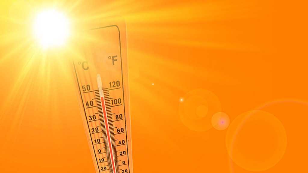100+ Die in Vancouver in 4 Days, As Heat Wave Batters Western Canada