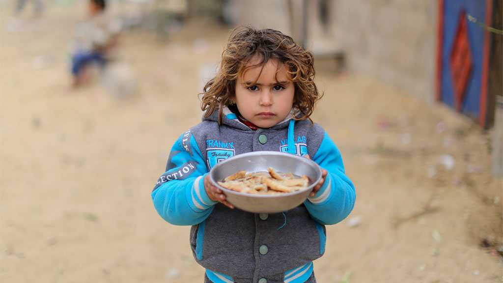 62% of Gaza Population Are Food Insecure - Report