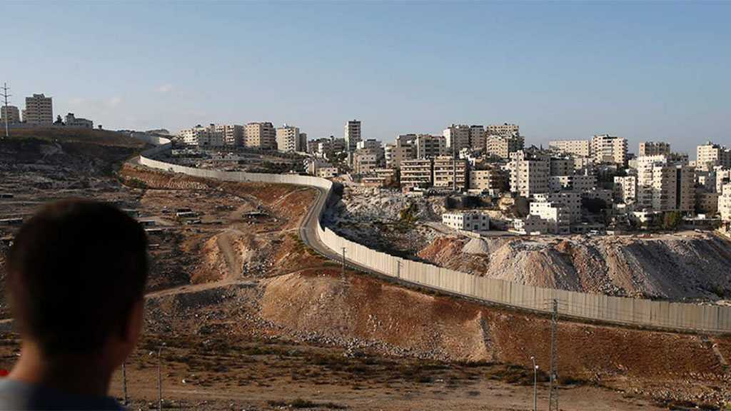 Zionist Settlers Seize Additional Vast Swathes of Palestinian Lands in Occupied West Bank