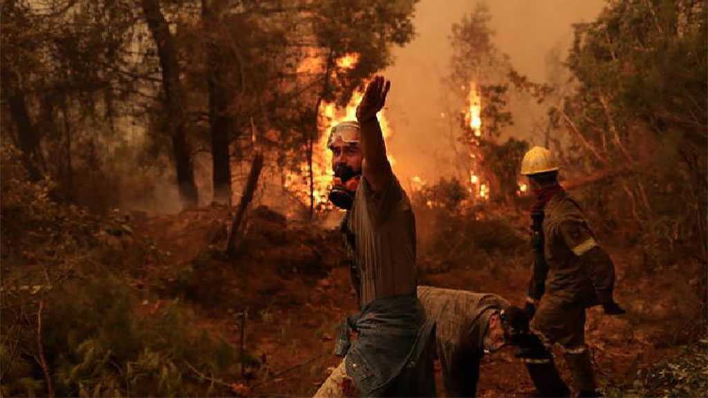 Wildfires: At Least 65 Killed In Algeria, Greece and Italy Burn