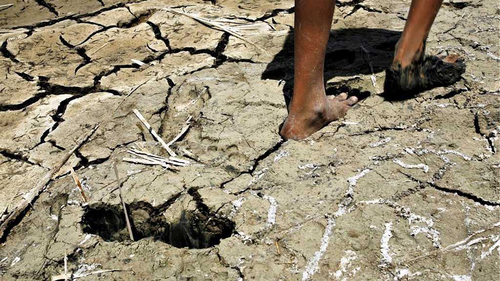 Syria, Middle East to Face Oncoming Drought Disaster - Report