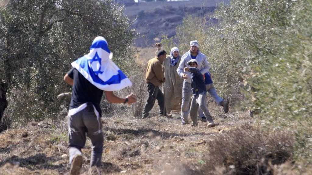 Palestinians Injured, Cars Vandalized in Settlers’ Attack near Nablus