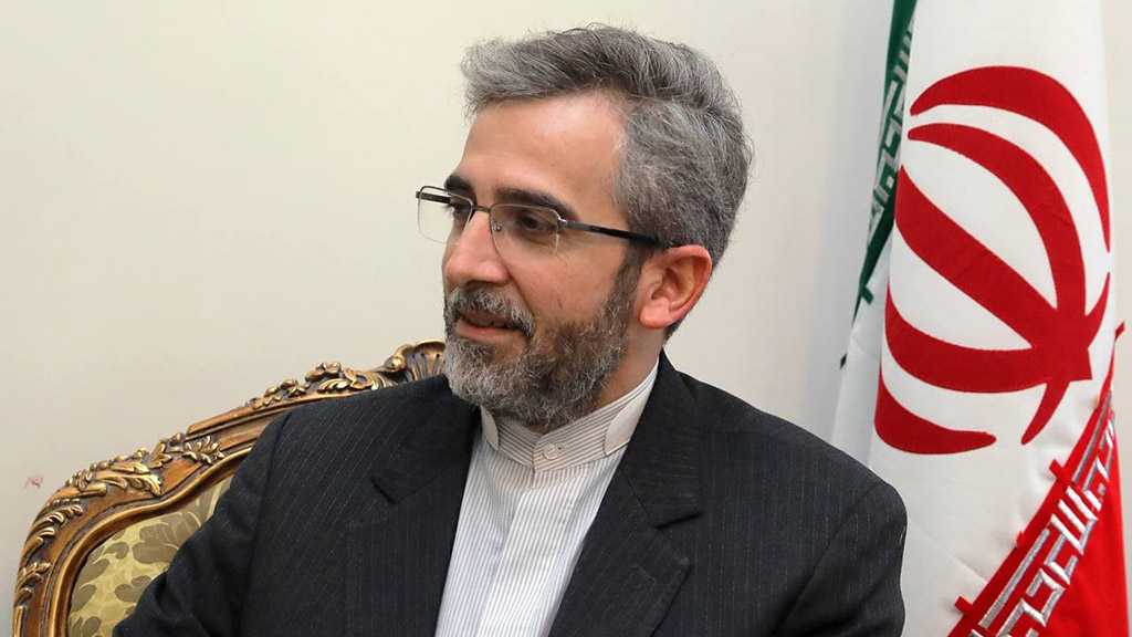 Iran Top Negotiator: Success in Vienna Depends on P4+1, Readiness to Remove Bans