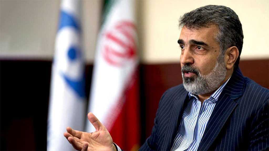 Iran Repeatedly Warned IAEA over Improper Behavior: Official
