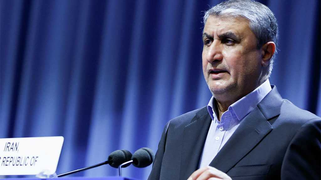 Iran’s Nuclear Path Merely ’Peaceful’ - AEOI