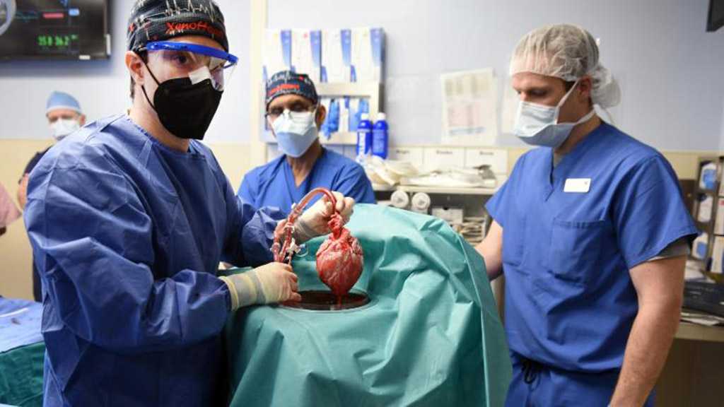 US Man Gets Heart Transplant from Genetically Altered Pig