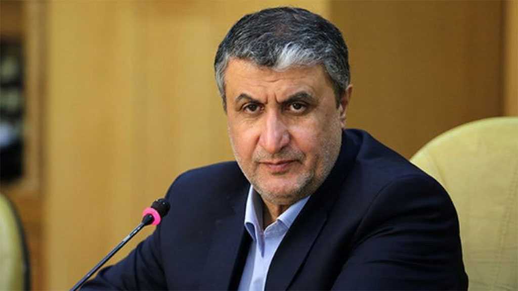 Iran’s Nuclear Chief: Talks on Technical Issues in Vienna Finalized