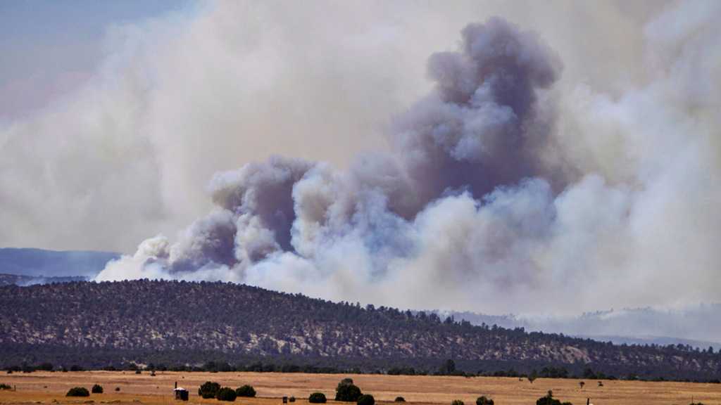 Thousands Refuse to Evacuate Largest US Wildfire in New Mexico