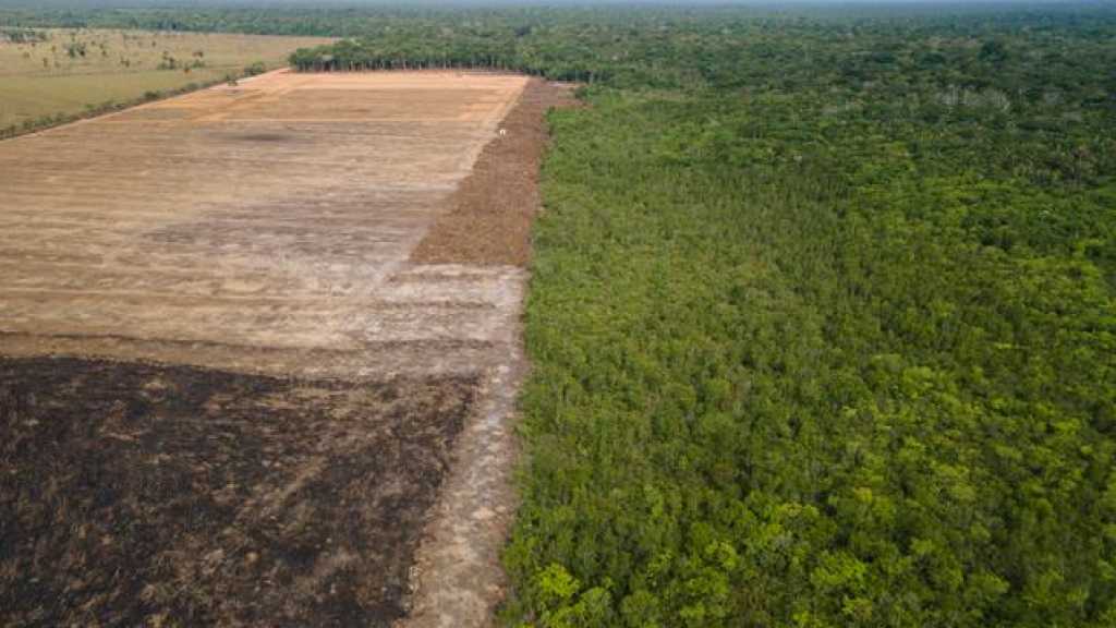 New Record: Brazil’s Amazon Deforestation Hits April High