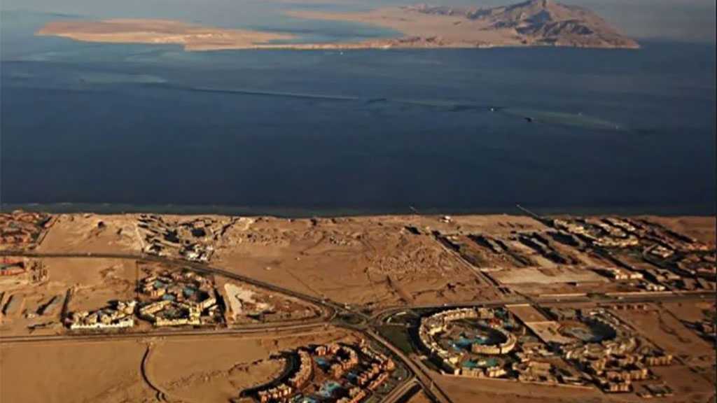 US Brokering Talks to Transfer Islands from Egypt to Saudi Arabia with ‘Israeli’ Backing