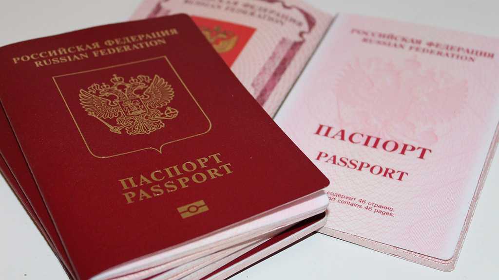 Ukraine to Punish Own Citizens for Getting Russian Passports